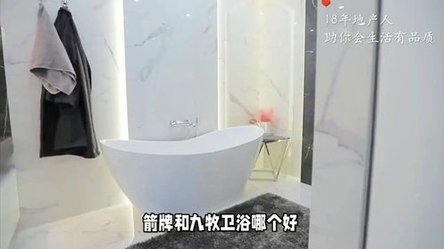 箭牌與九牧 衛(wèi)浴品牌深度對比與購買建議